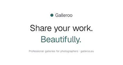 Galleroo gallery image