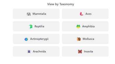 Randon Animal gallery image