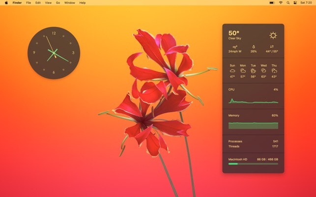 Hologram gallery image