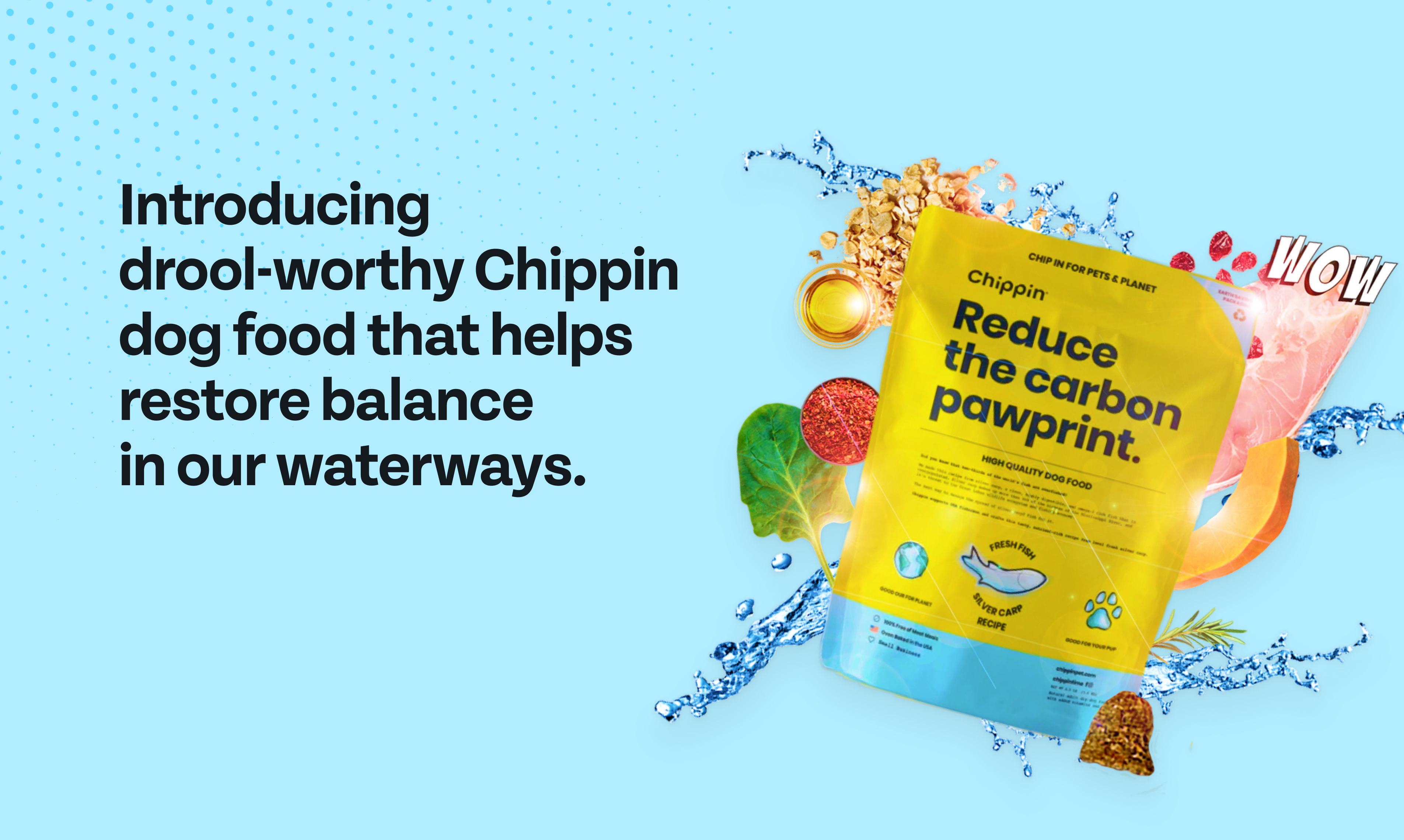 Chippin Silver Carp Daily Dog Food gallery image