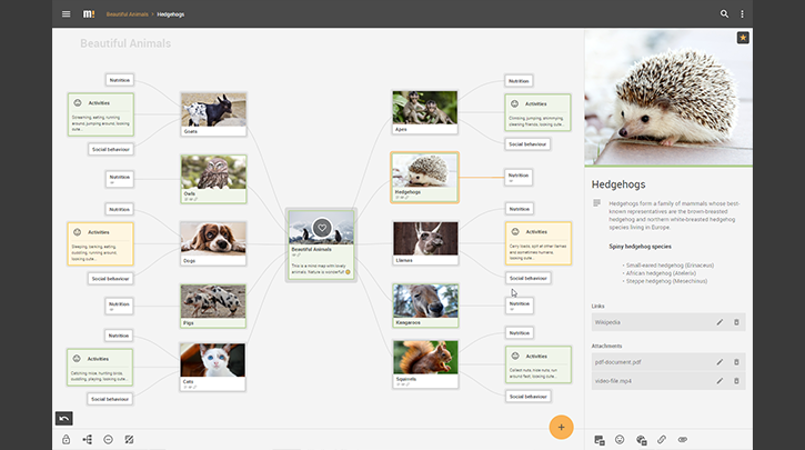 Mindz - Mind Mapping media 5