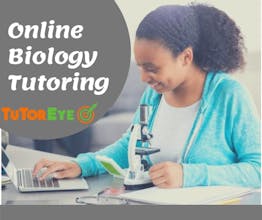 TutorEye Inc. gallery image