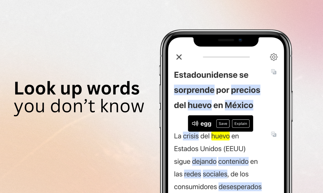 Lingo Champion gallery image