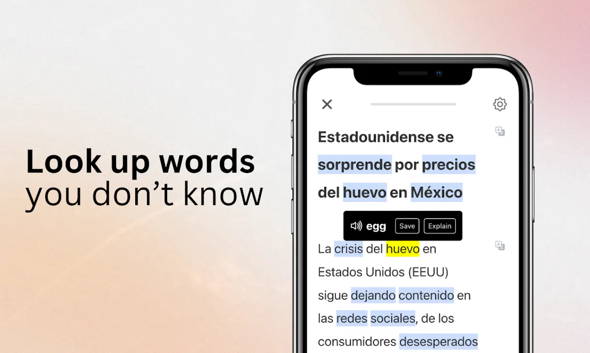 Lingo Champion text reader