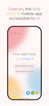 Caelum - Local AI for everyone gallery image