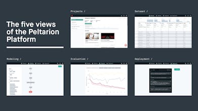 Peltarion gallery image