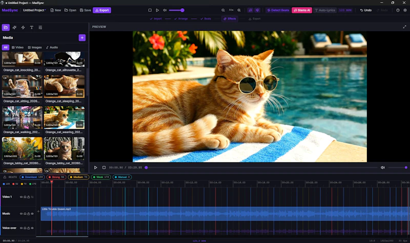 MadSync - Music Video Editor screenshot 3