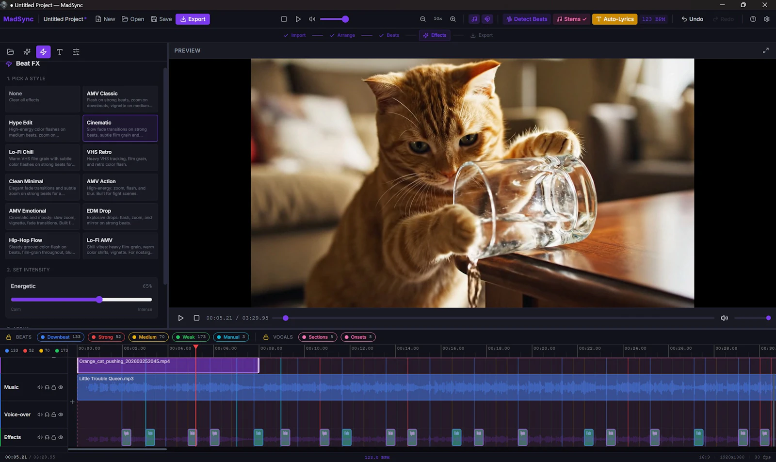 MadSync - Music Video Editor screenshot 5