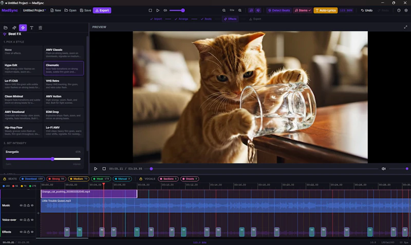 MadSync - Music Video Editor screenshot 5