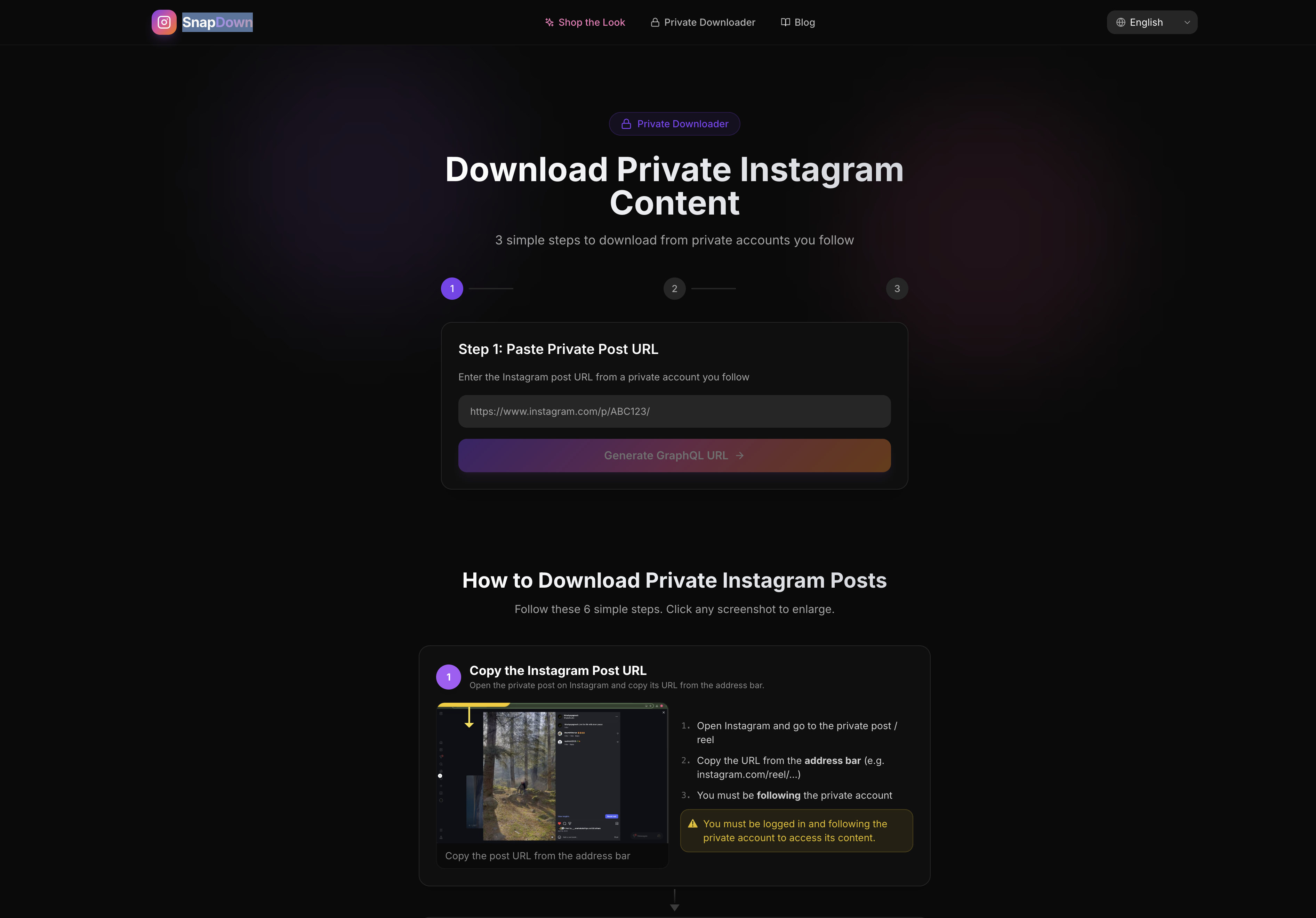 SnapDown - Screenshot 3 showing product features and functionality