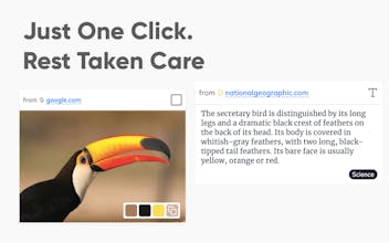 Cutouts gallery image