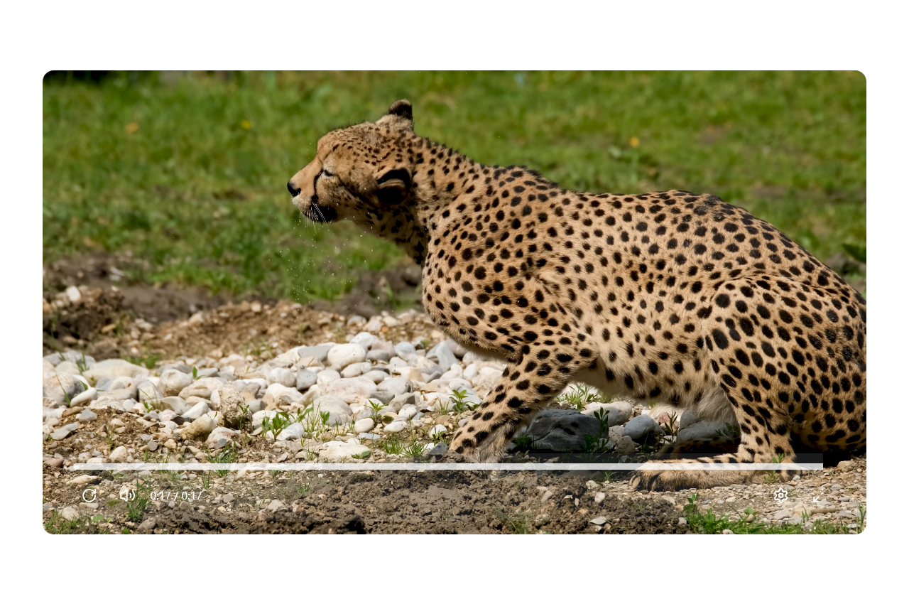 Ruixen UI gallery image