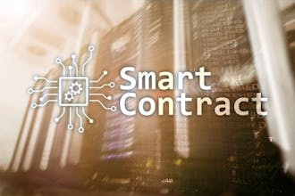 OpenetworK gallery image