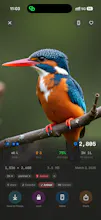 WallVault: Private Wallpaper Manager gallery image