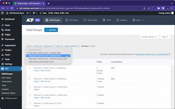 ACF Remote Sync gallery image