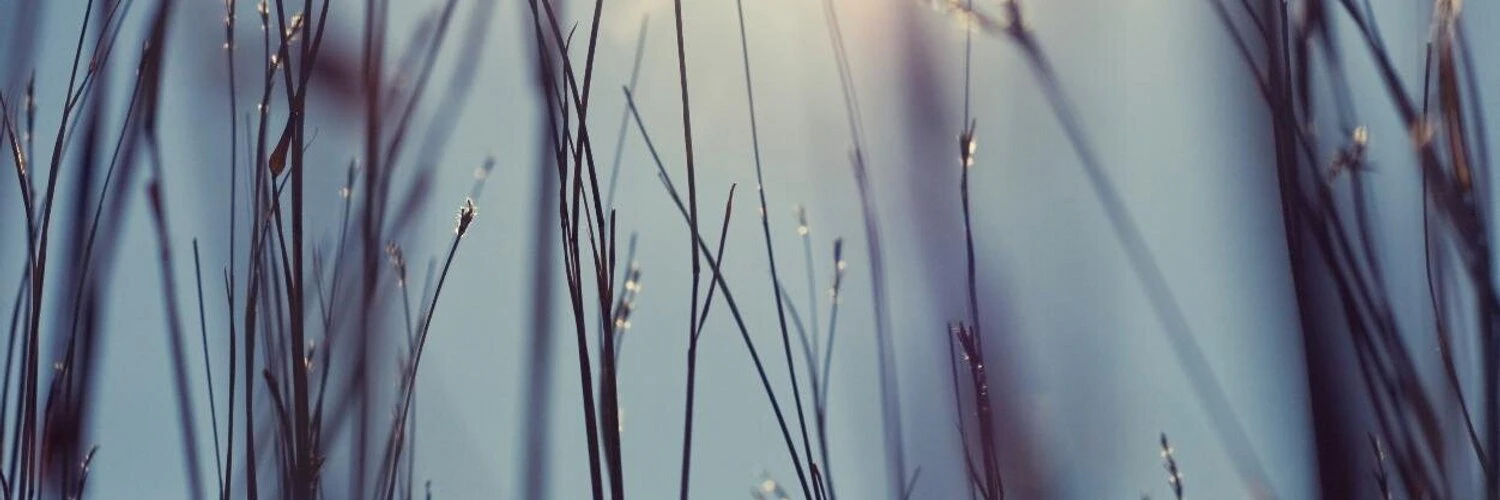 Bernat Fortet Unanue cover