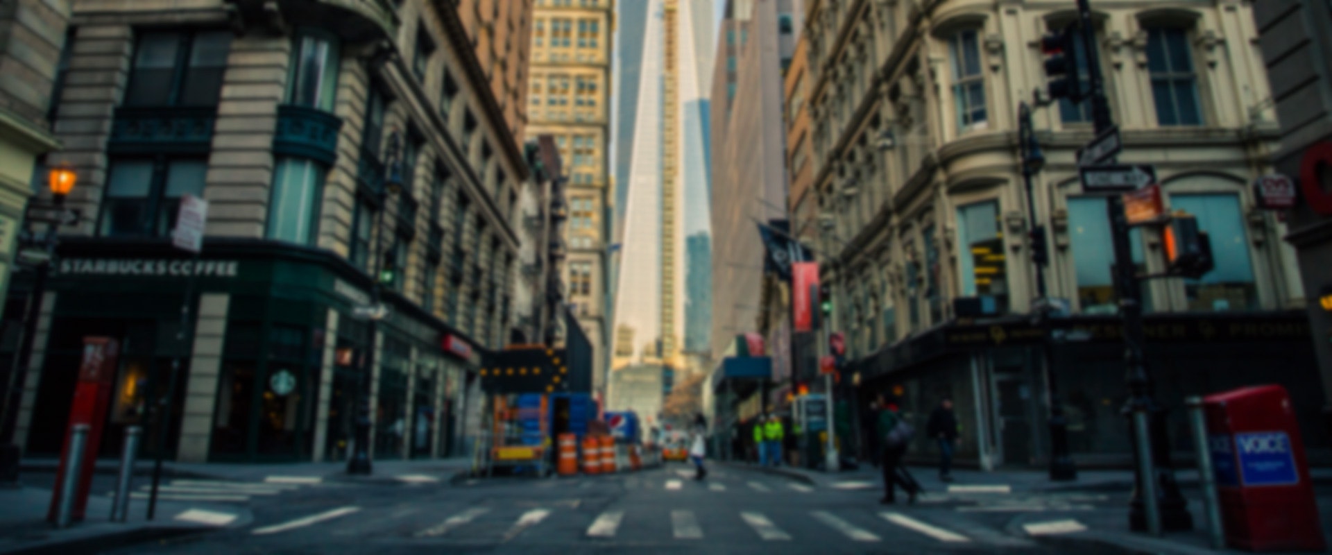 LogDog gallery image