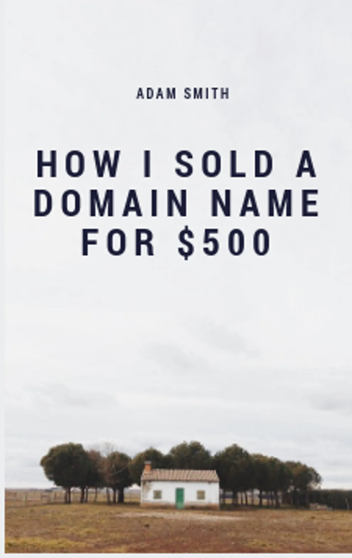 How I Sold A Domain Name For $500