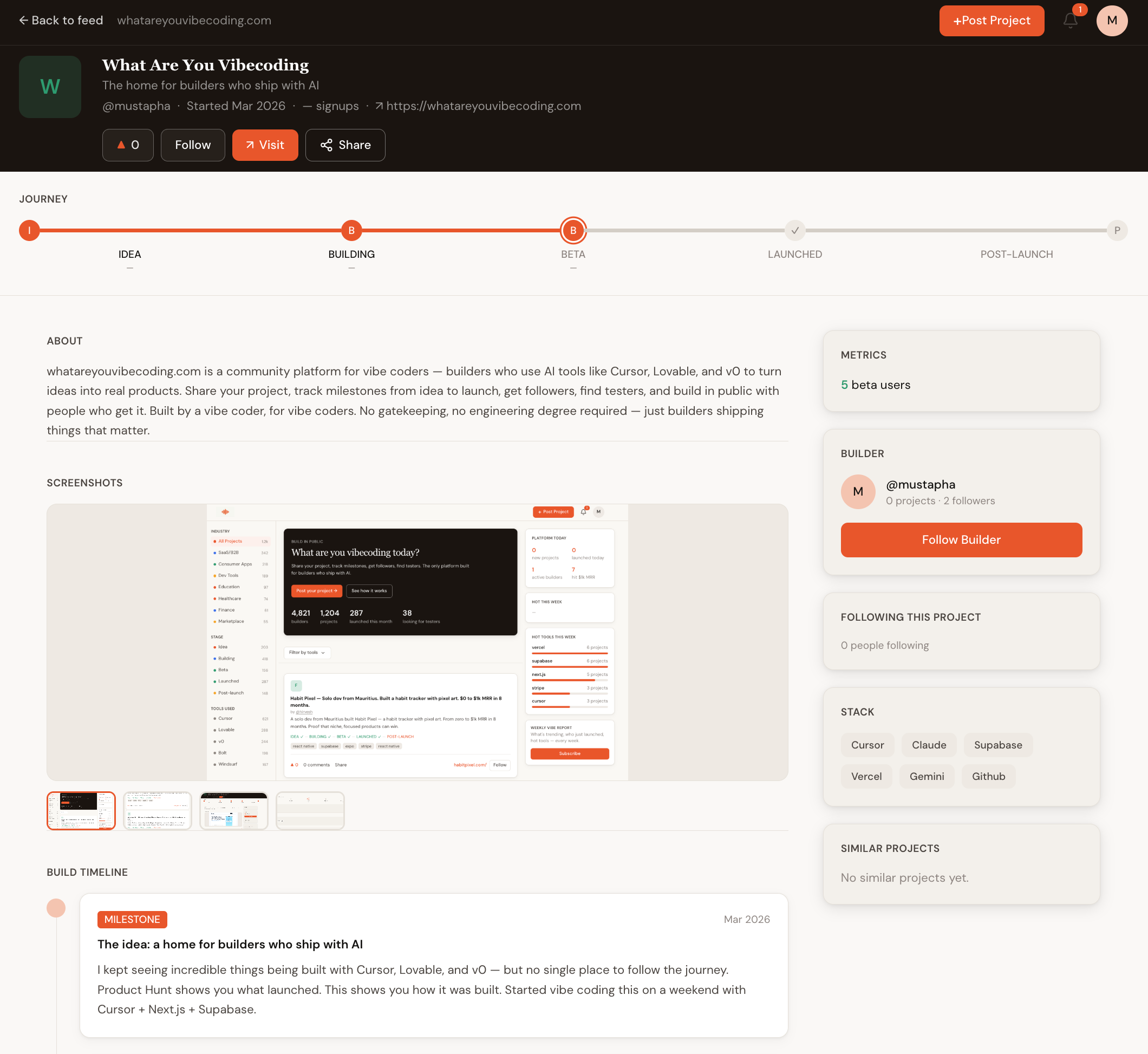 What are you vibecoding  gallery image