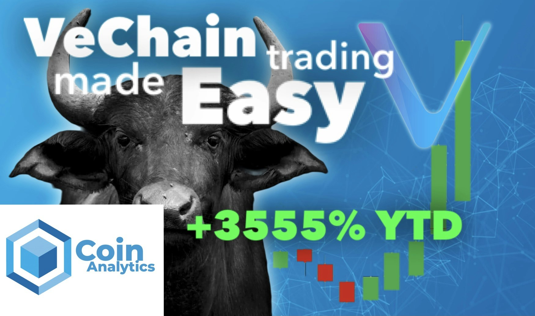 Coin Analytics gallery image