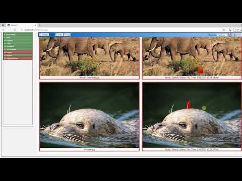 Imagium gallery image