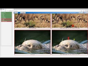 Imagium gallery image