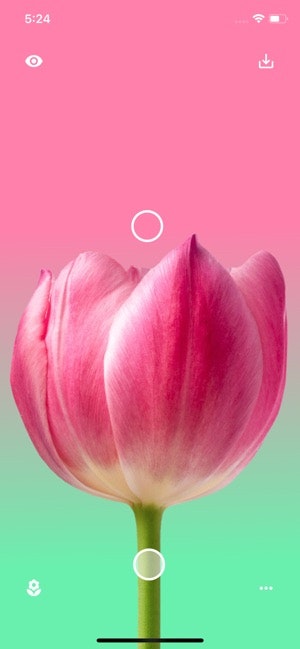 Flower Wallpaper Maker gallery image