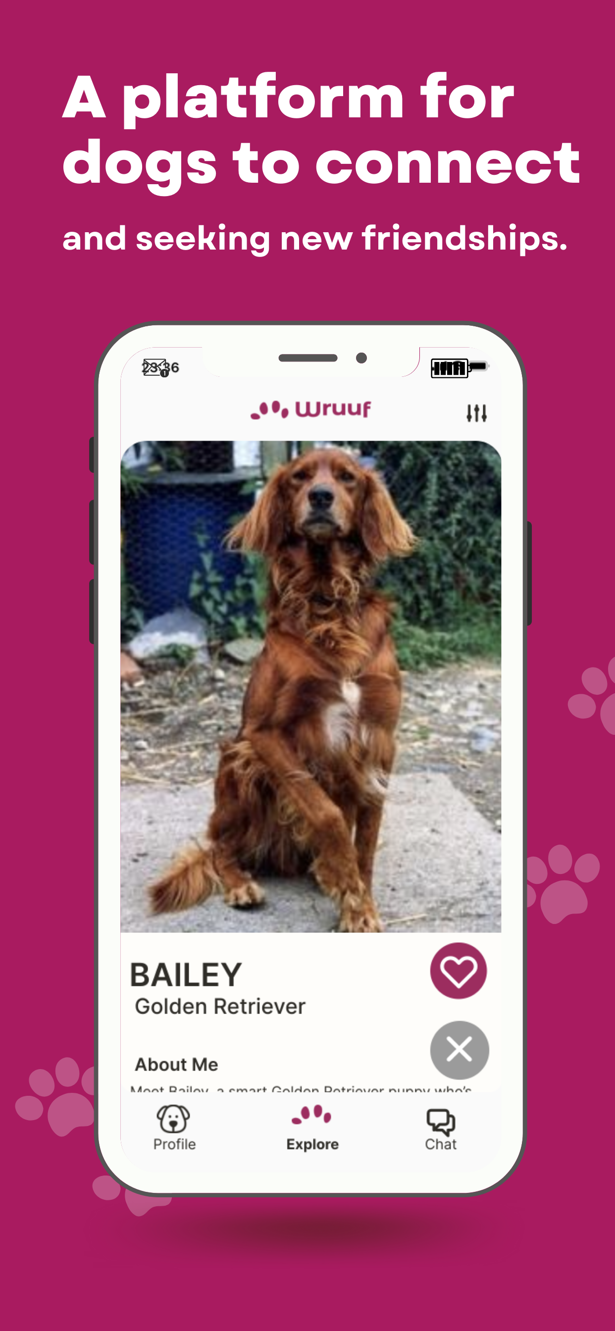 Wruuf, köpeklerin bağlanması için bir platform - Bölgenizdeki evcil hayvanınız için arkadaş bulmanın harika bir yolu. medya 1