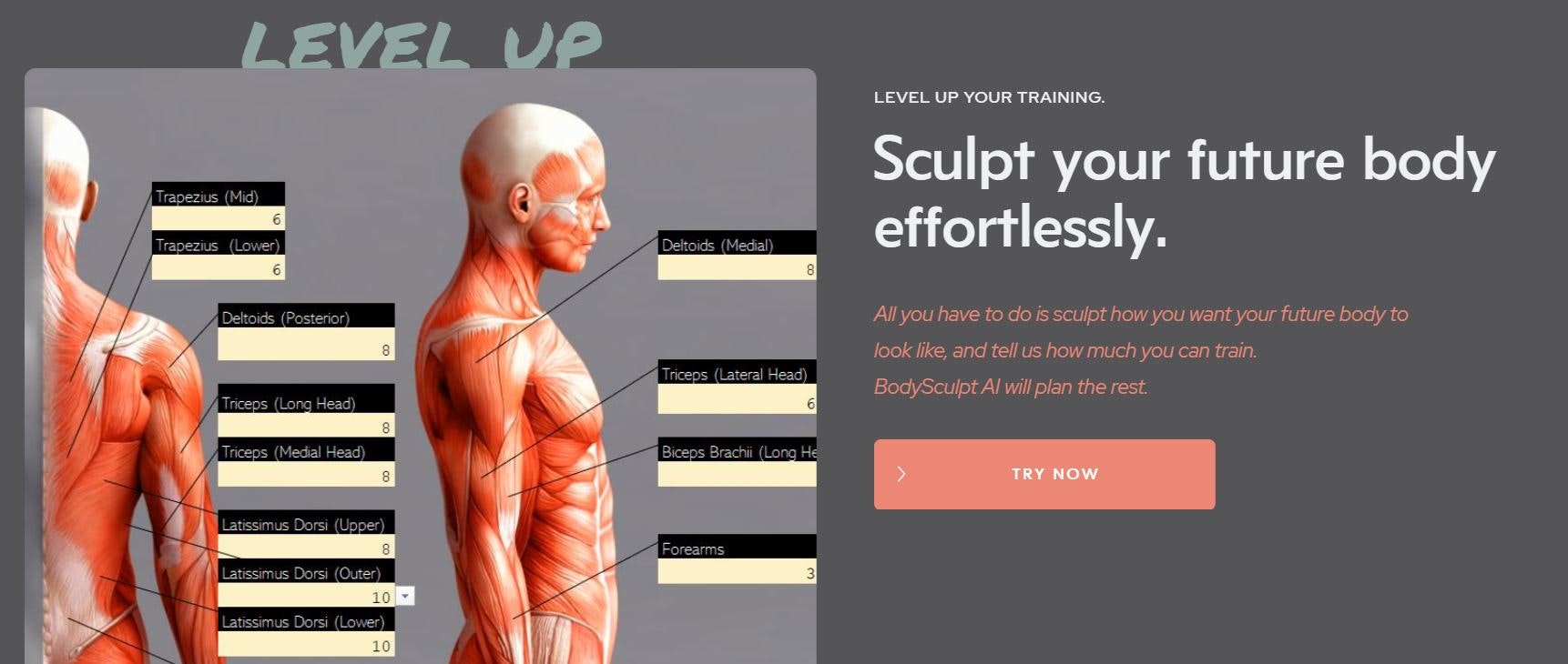 BodySculpt AI gallery image