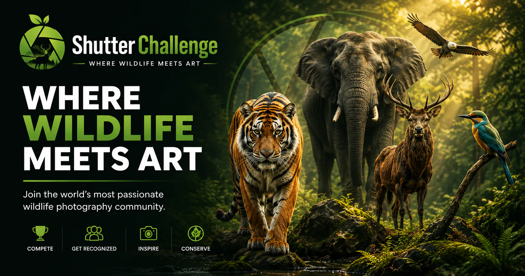 ShutterChallenge gallery image