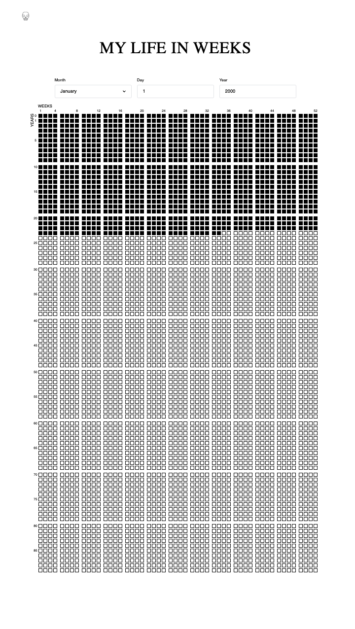 Mijn leven in weken - Visualiseer je leven in weken. media 2