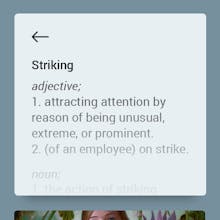 Pithy Reviews gallery image