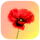 Fluya