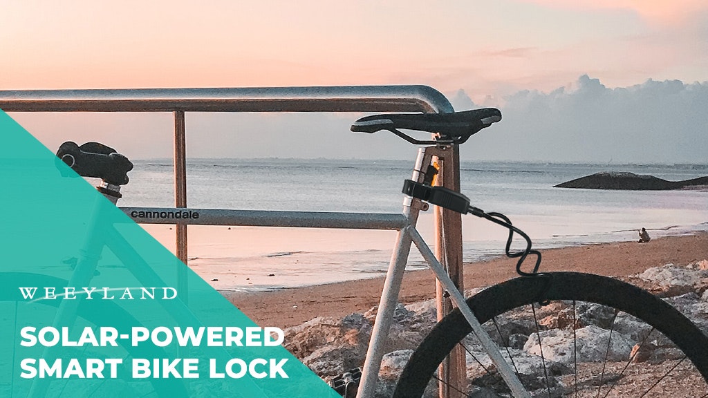 Weeylock gallery image