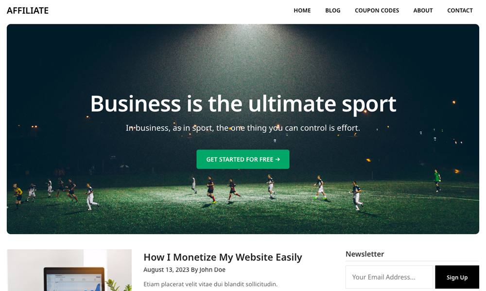 Affiliate Blogger WordPress Theme media 1