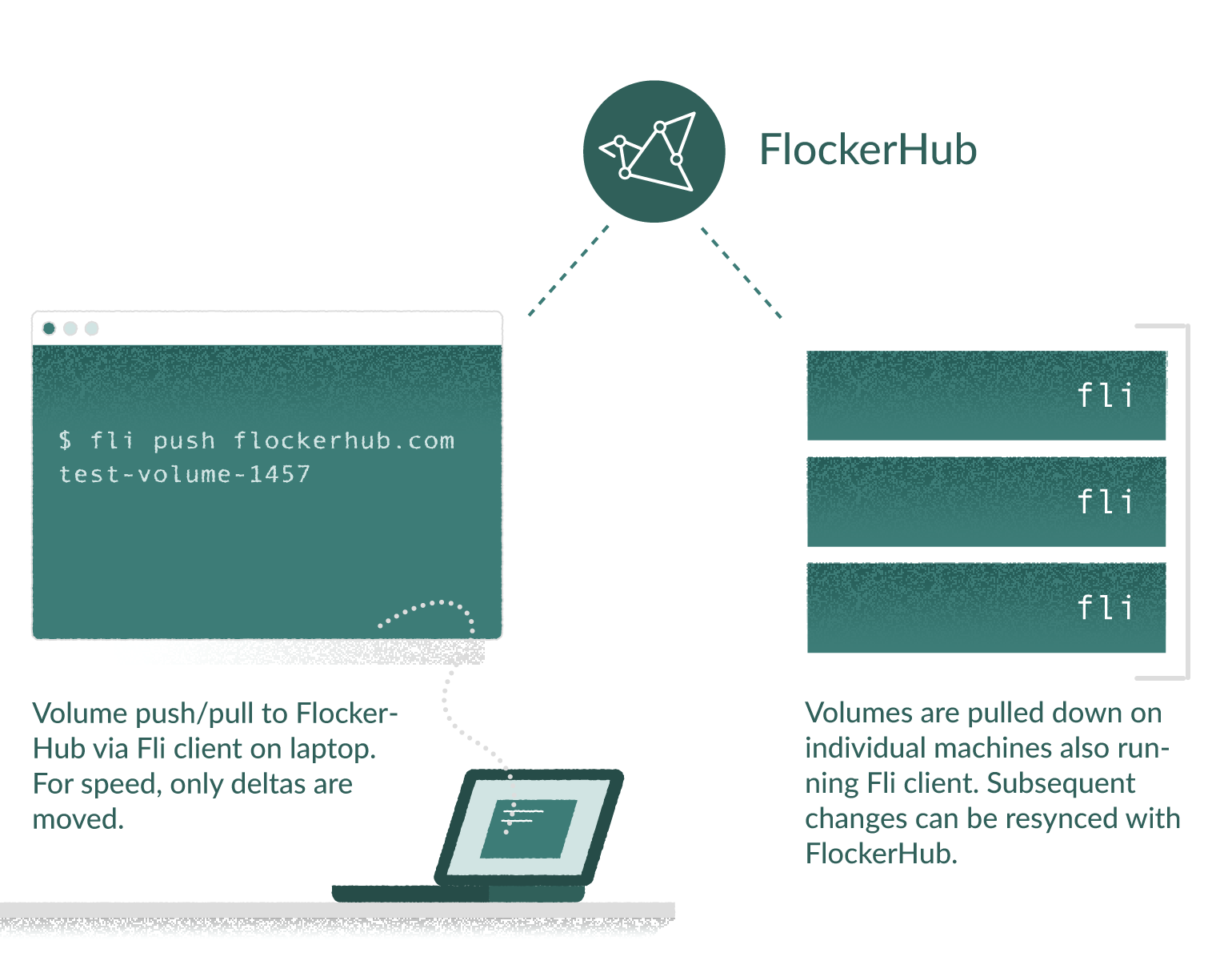 Flocker gallery image