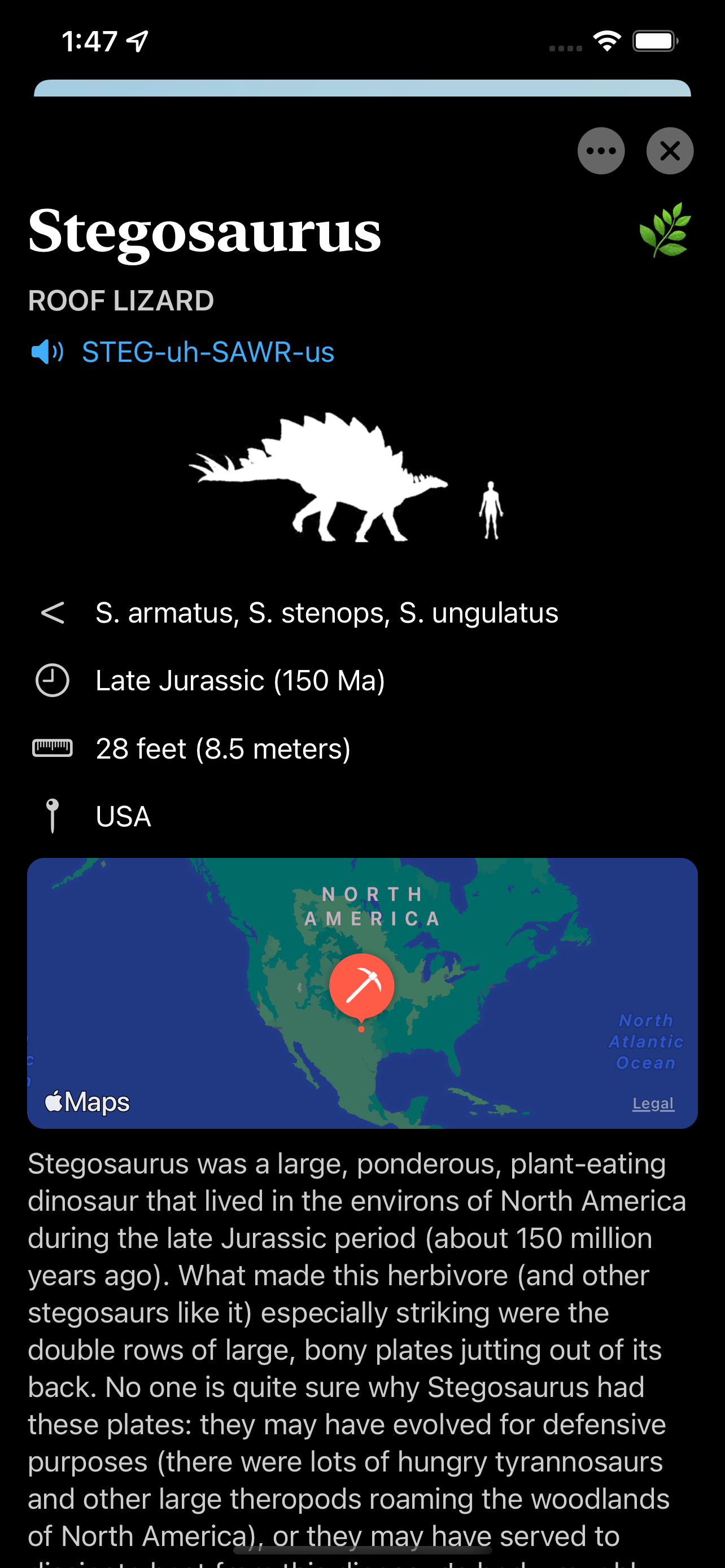 World of Dinosaurs 11 - L'ultima risorsa di dinosauro in AR media 4