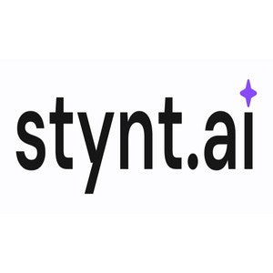 Stynt.ai gallery image