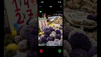 SpectraSort gallery image