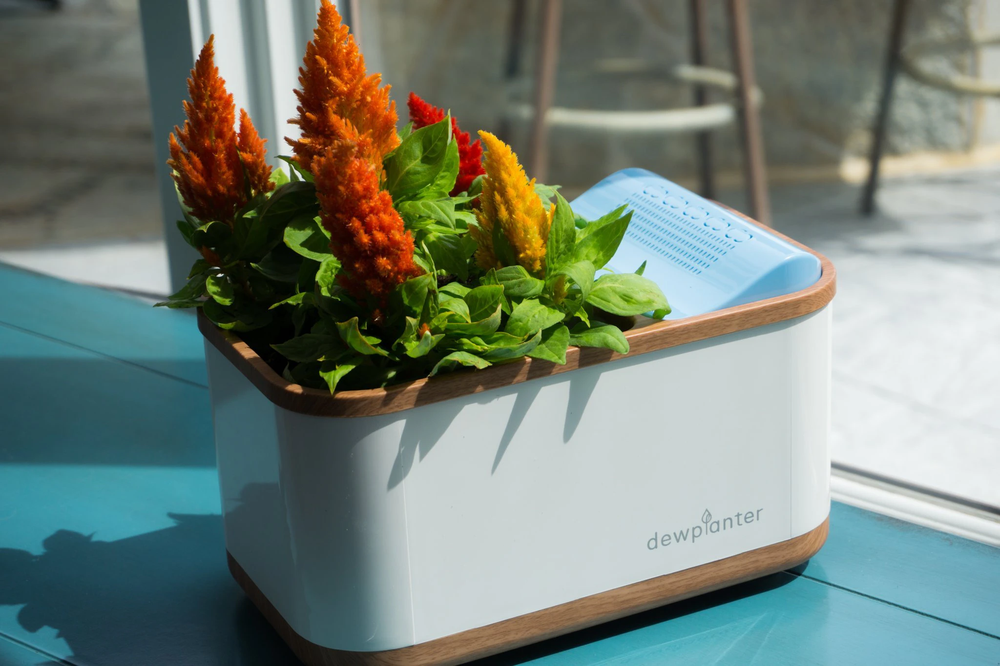 Dewplanter: Water Generating Planter