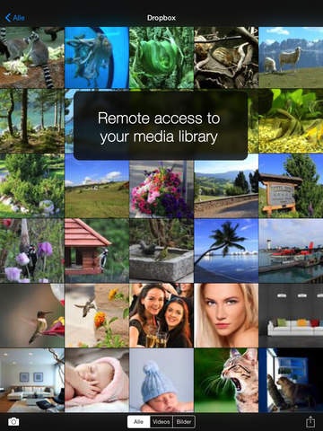 Airbeam gallery image