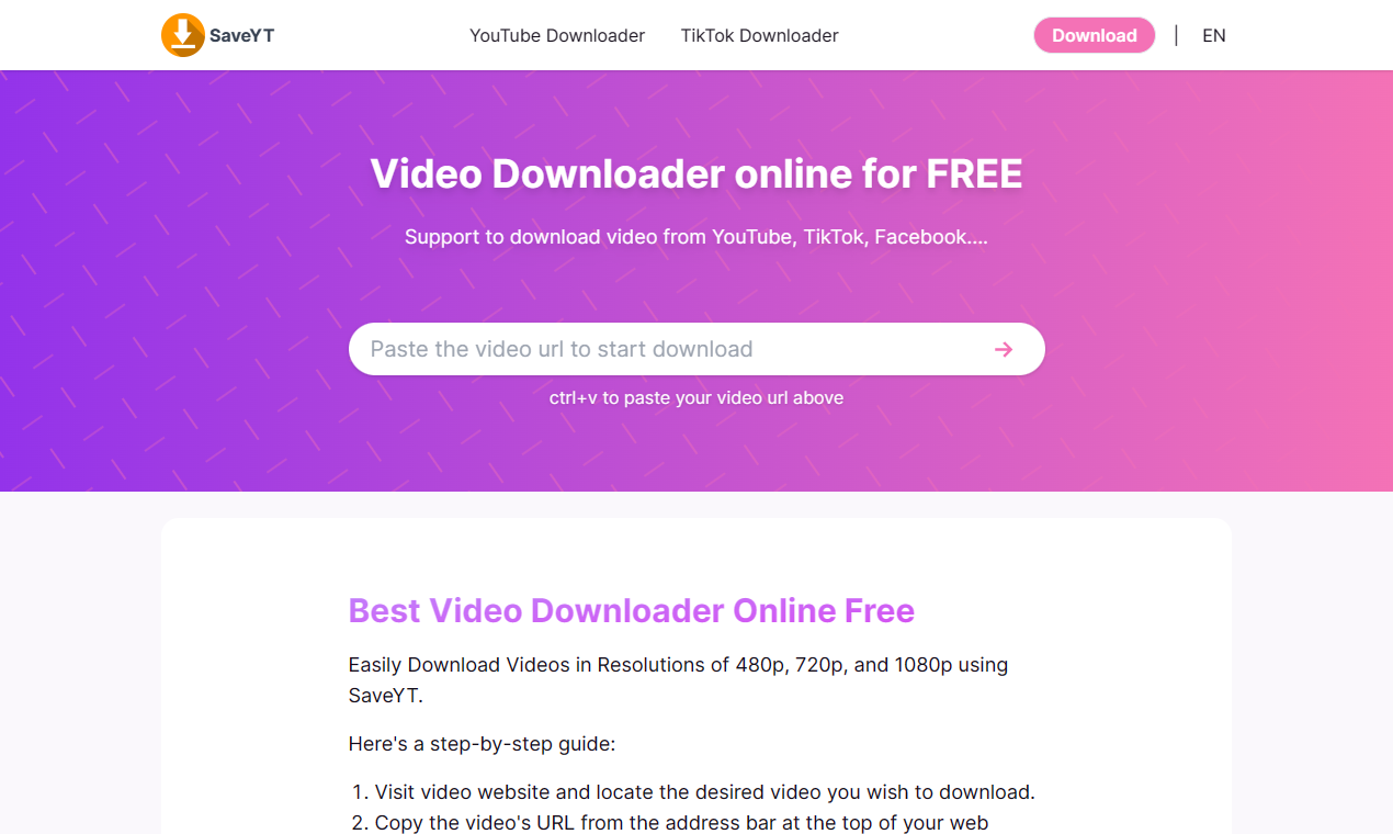 Saveyt - Free Online Video Downloader media 1