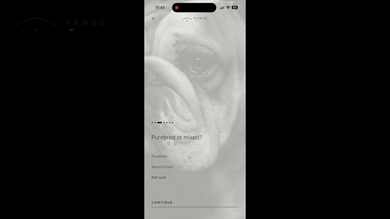 Pawse.ai gallery image