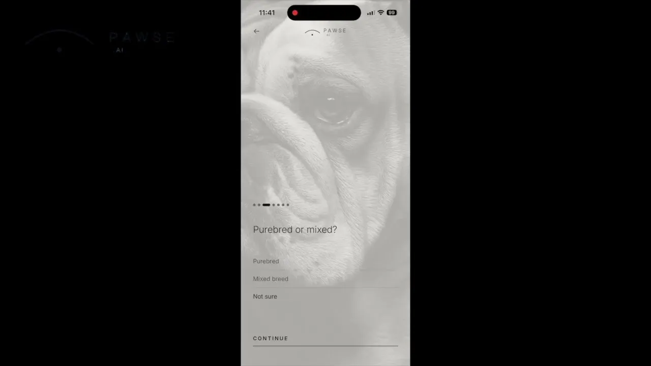 Pawse.ai screenshot 1