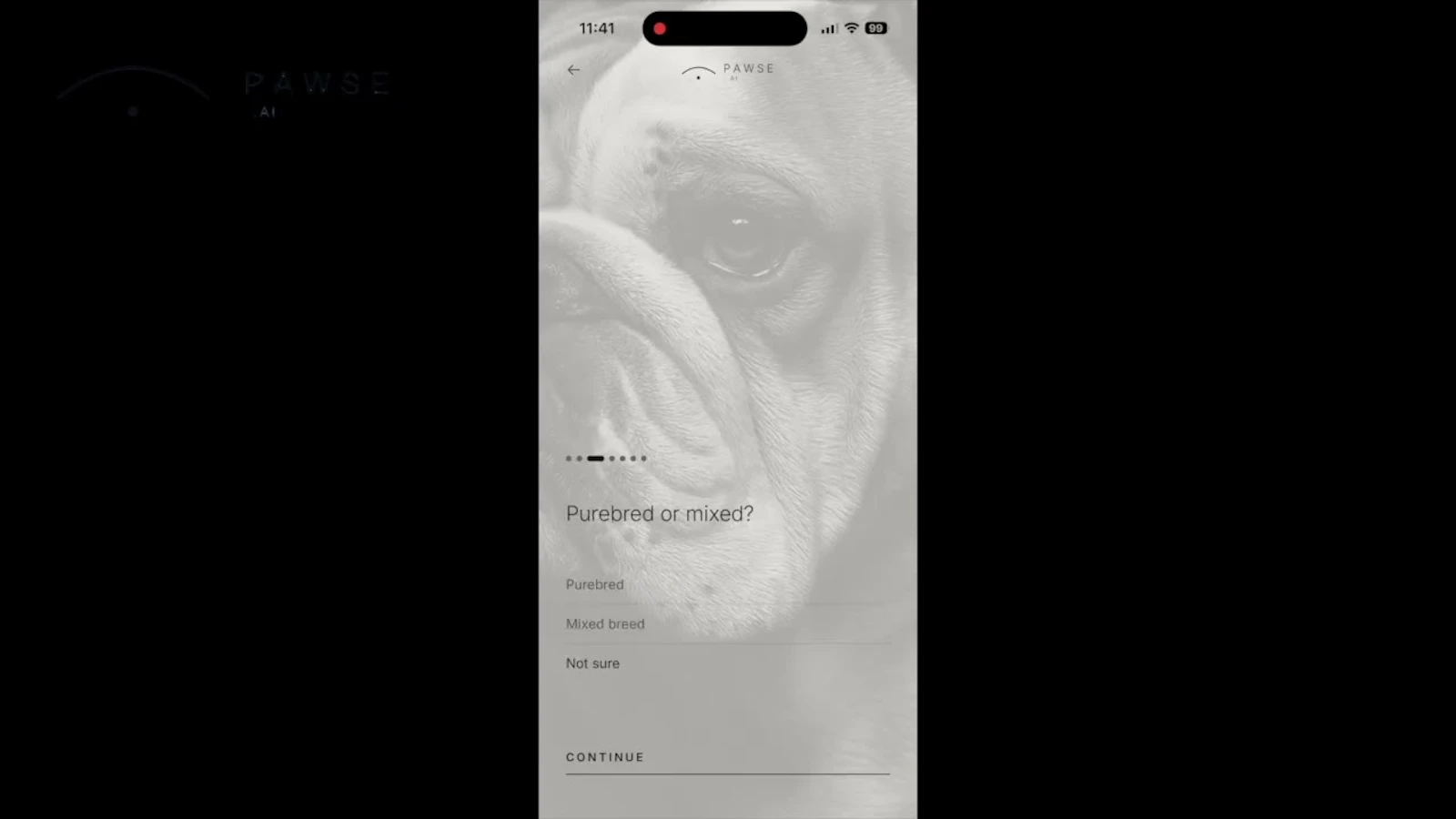 Pawse.ai screenshot 1 (video preview)