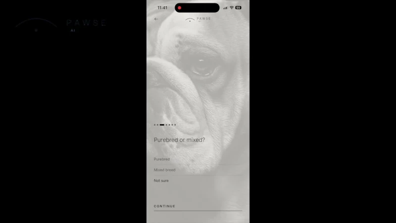 Pawse.ai screenshot 1 (video preview)