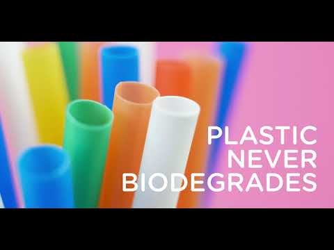 EQUO Rice, Coconut & Sugarcane Straws gallery image