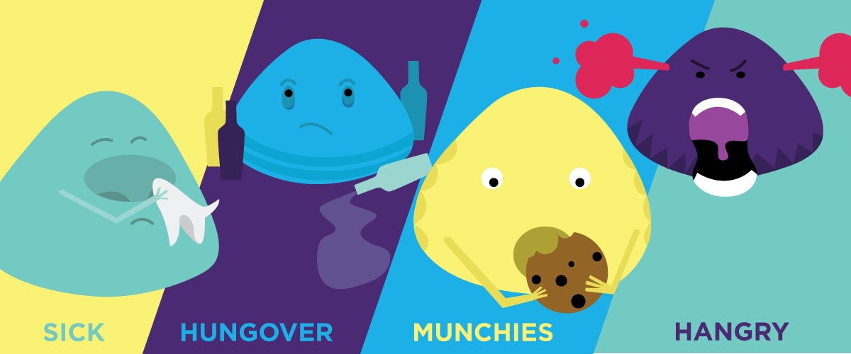 SOS Packages gallery image