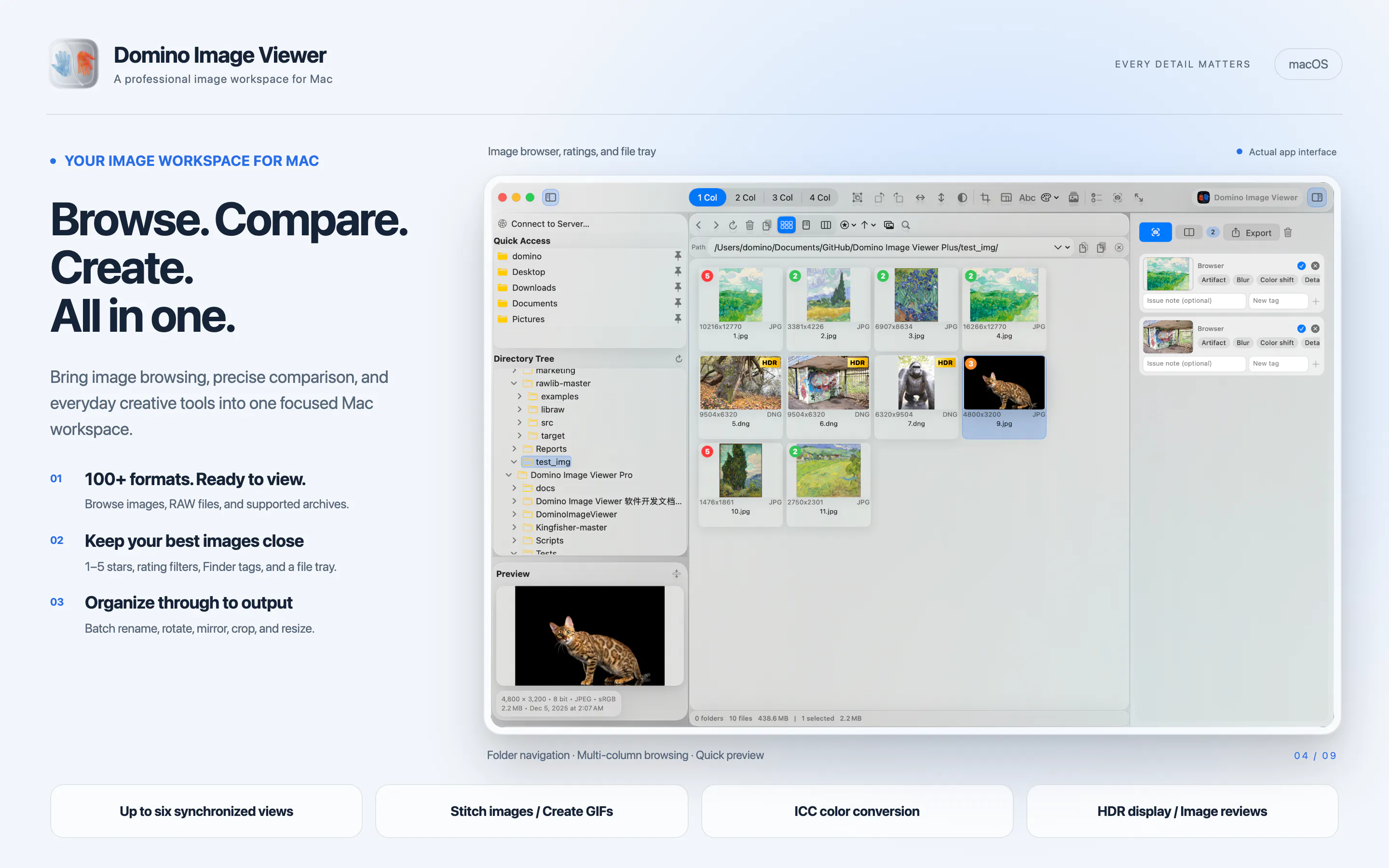 Domino Image Viewer gallery image