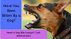 Sacramento Dog Bite Attorney